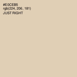 #E0CEB5 - Just Right Color Image